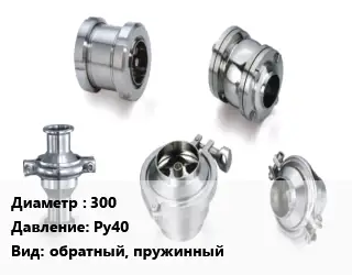 Клапан нержавеющий 300 Ру40 обратный, пружинный